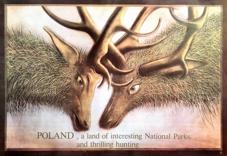 Poland, a land of interesting National Parks and thrilling hunting — Jerzy Czerniawski