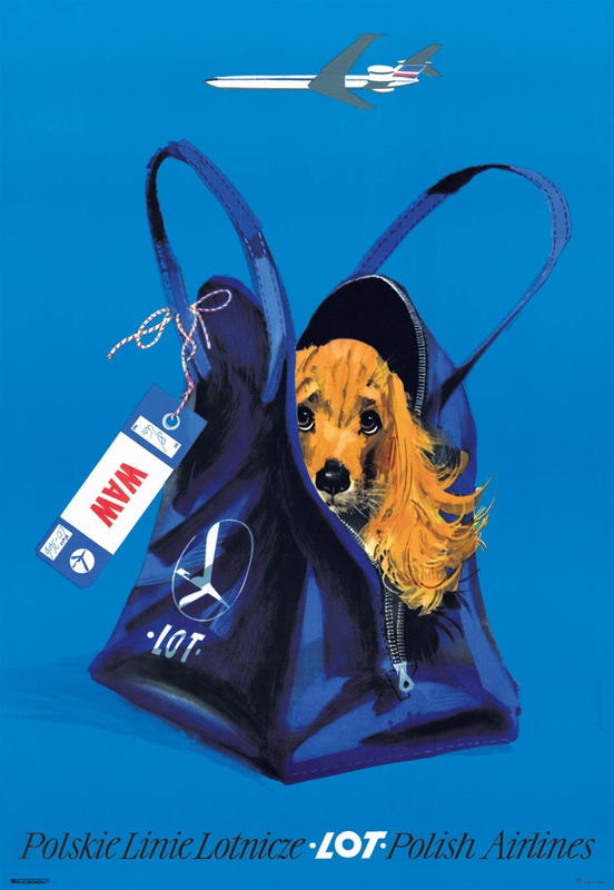 LOT Polish Airlines - Dog in a Bag — Janusz Grabiański