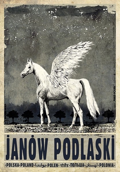 Janow Podlaski, Poland — Ryszard Kaja