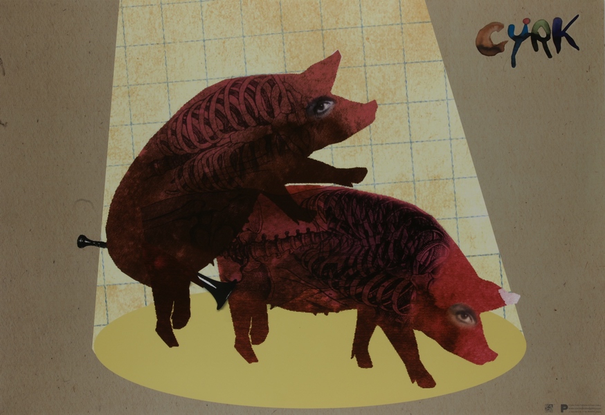 Circus Pigs — Kaja Renkas