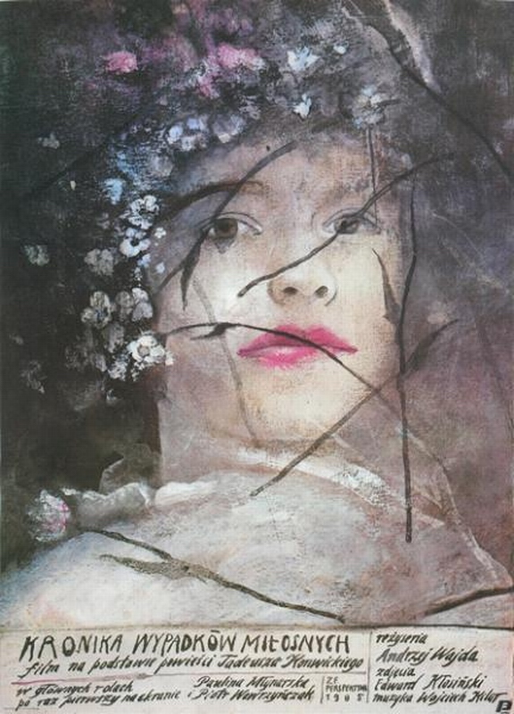 A Chronicle of Amorons Accidens — Wiktor Sadowski