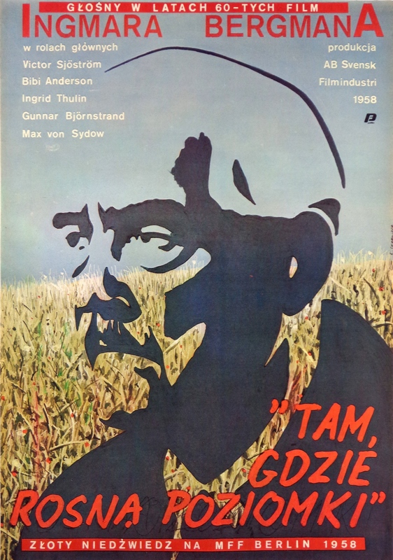 Wild Strawberries — Eugeniusz Skorwider