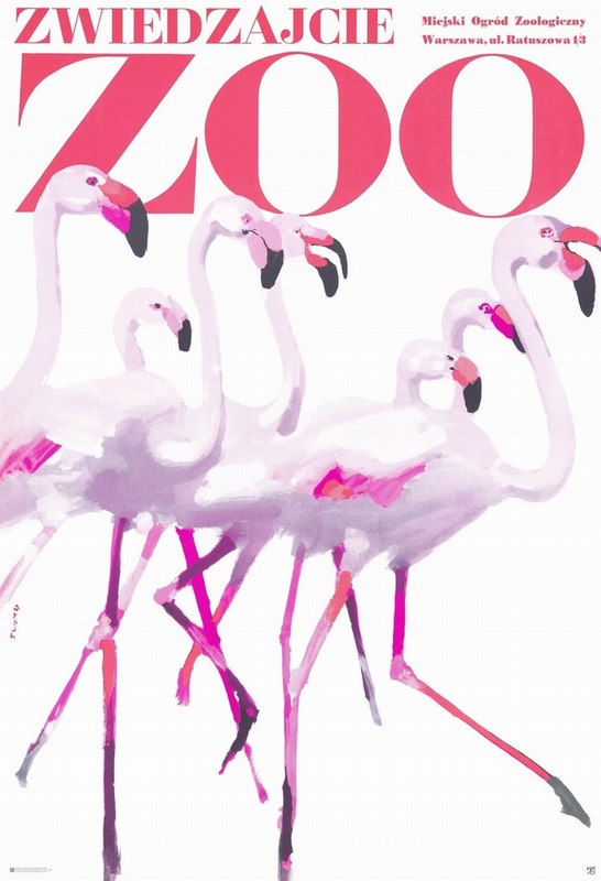 Visit the ZOO - Flamingos — Waldemar Świerzy