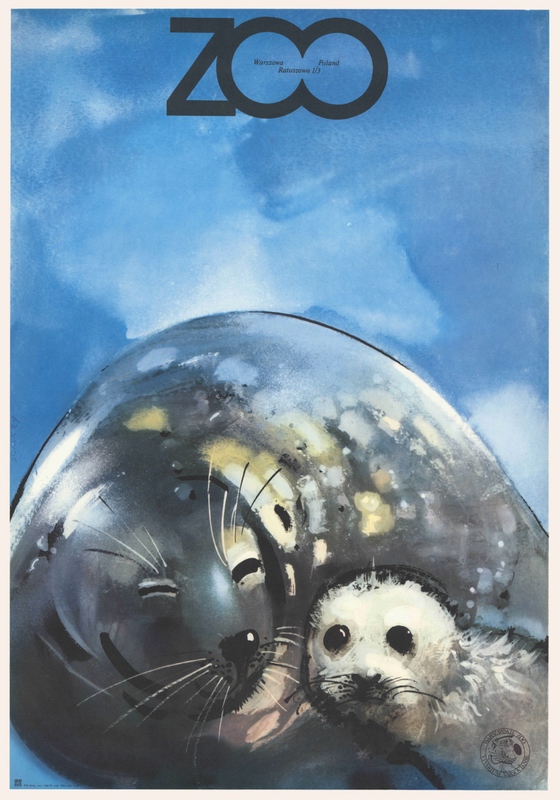ZOO Grey Seals — Waldemar Świerzy