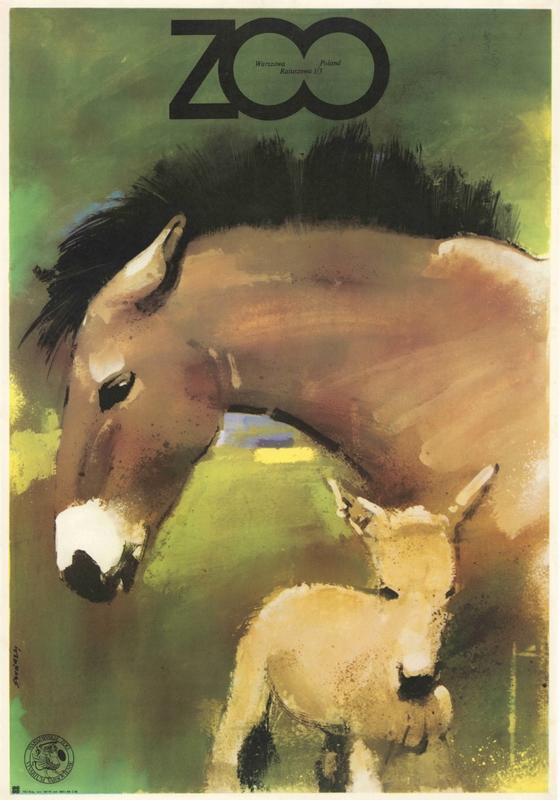 ZOO Przewalski Horses — Waldemar Świerzy