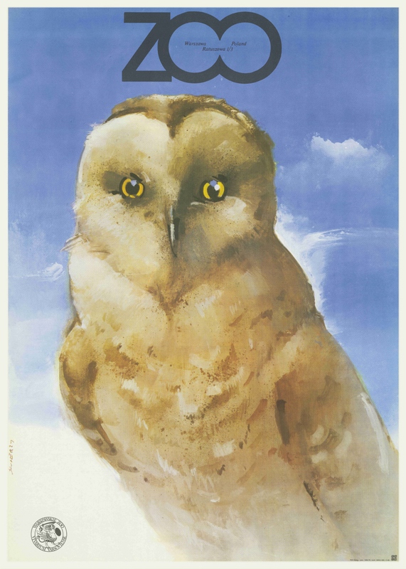 ZOO Polar Owl — Waldemar Świerzy