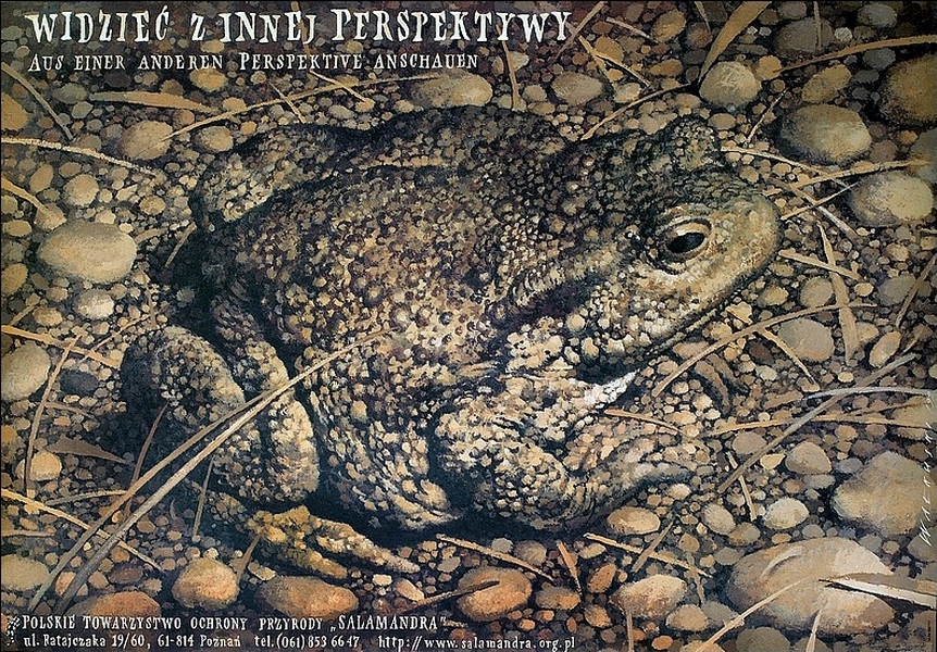 To See from Other Perspective — Wieslaw Wałkuski